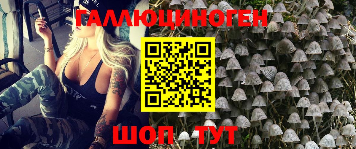 Псилоцибиновые грибы MAGIC MUSHROOMS Пенза