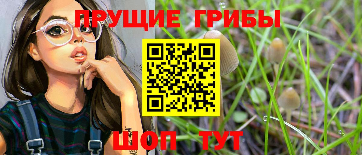 Псилоцибиновые грибы Cubensis  Галлюциногенные грибы Cubensis  Вход с VPN  Пенза 