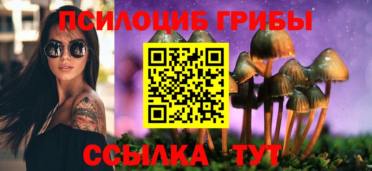 Марихуана  Канабис  Пенза  Вход с VPN  ГАШИШ  Мефедрон  МЕФ  